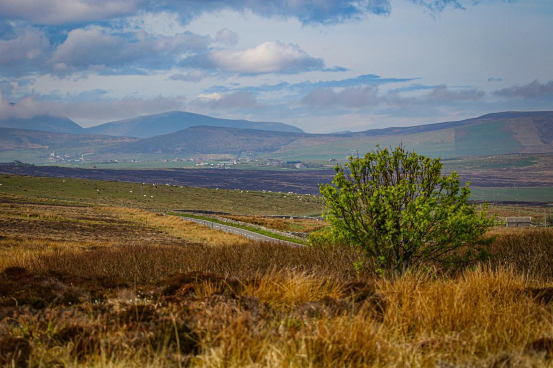 Our Peat Processes