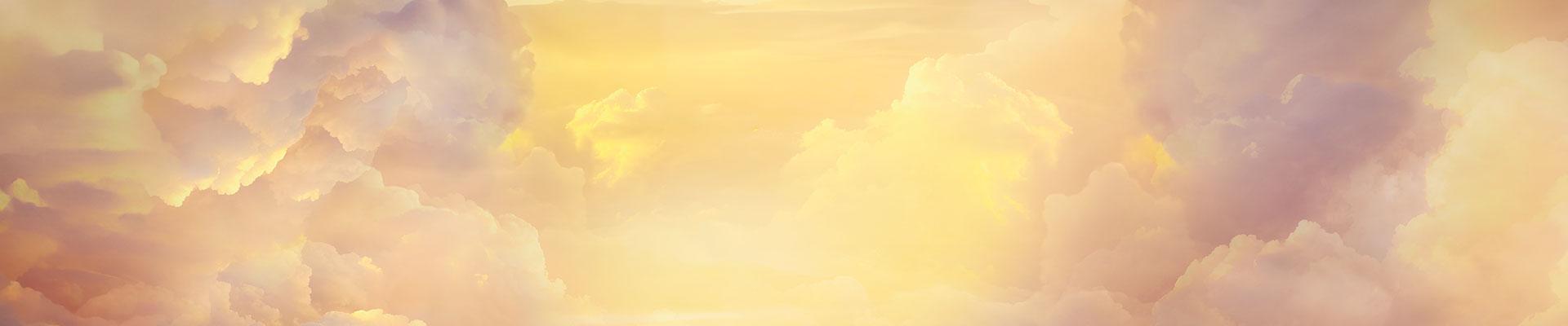Banner 1