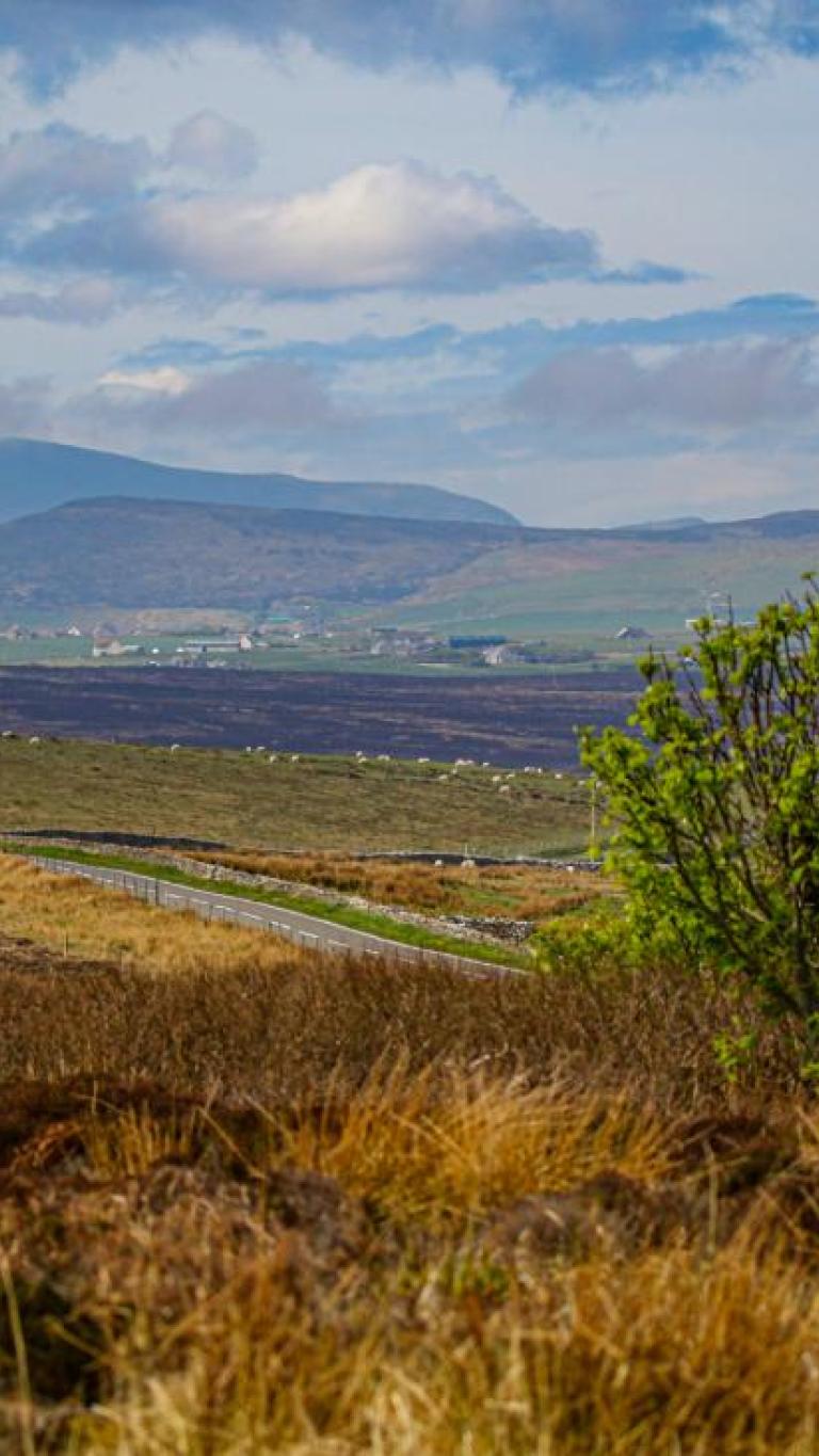 Our Peat Processes