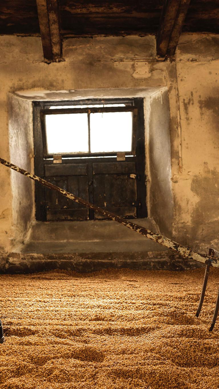 Malting Floor Mobile